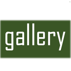 gallery brand