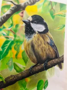 نقاشی با مداد رنگی دلفین